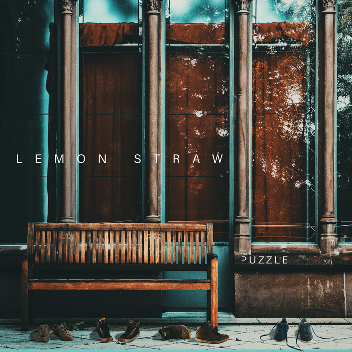 puzzle cover